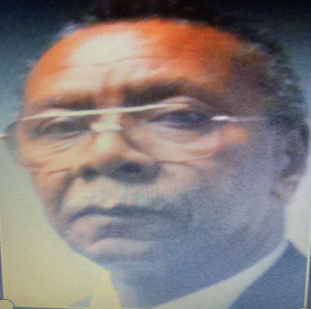Al Hester